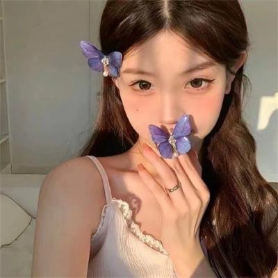 铁马冰河入梦来